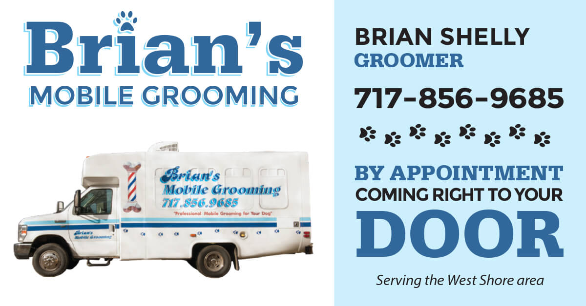 Dog Grooming - By Brian Shelly
